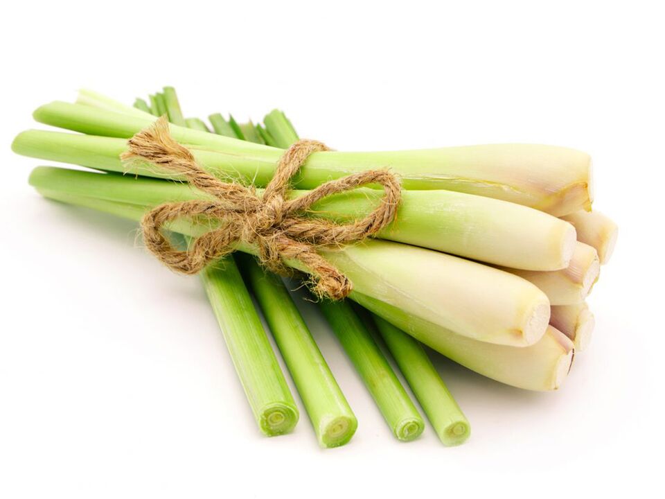 Lemongrass en ALTOZAR